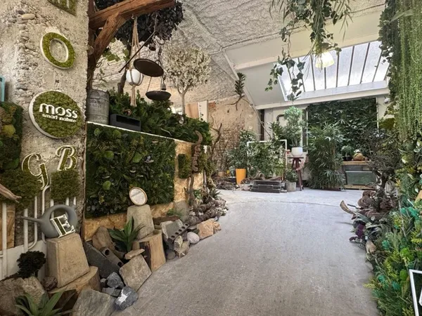 Murs commerciaux - 274.16m ²