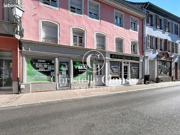 Immeuble de rapport 10 pièces 198 m²