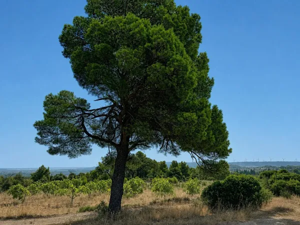 Vue imprenable sur les Corbières, la garrigue, les étangs de Sigean et de La Palme, et, par temps cl
