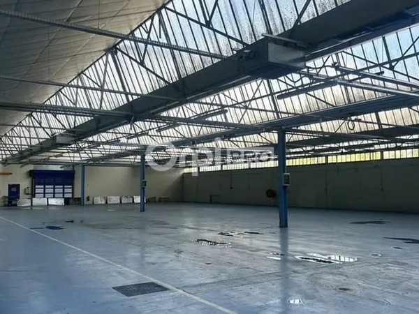 Local d'activité 9000 m²