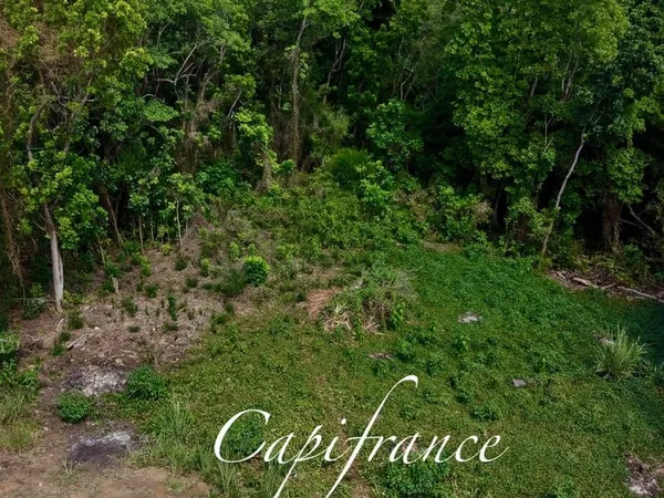 LE VAUCLIN - TERRAIN À VENDRE DE 2 673 M²