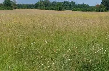 Terrain 555 m²
