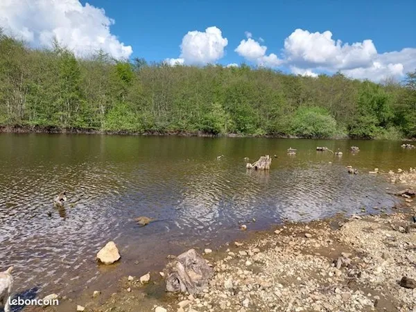 étang recherche 1 hectare mini