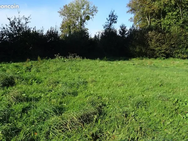 Terrain viabilise , genas centre, 585 m² libre constructeur
