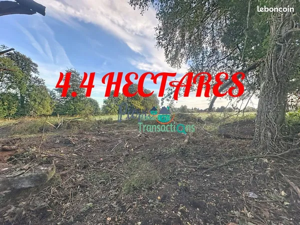 Maison 4 pièces 227 m²