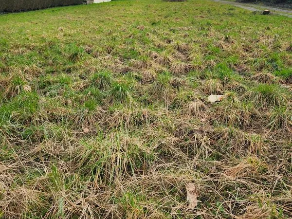 Terrain constructible de 583m2
