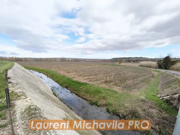 Domaine viticole à vendre  Hérault (34)  Occitanie