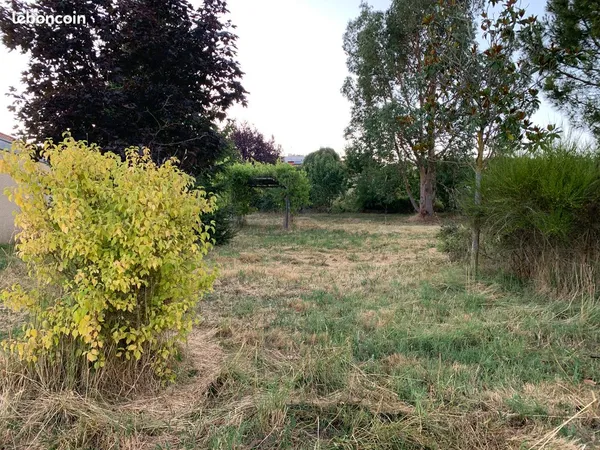 750 m2 terrain viabilisé, tout constructible, arboré