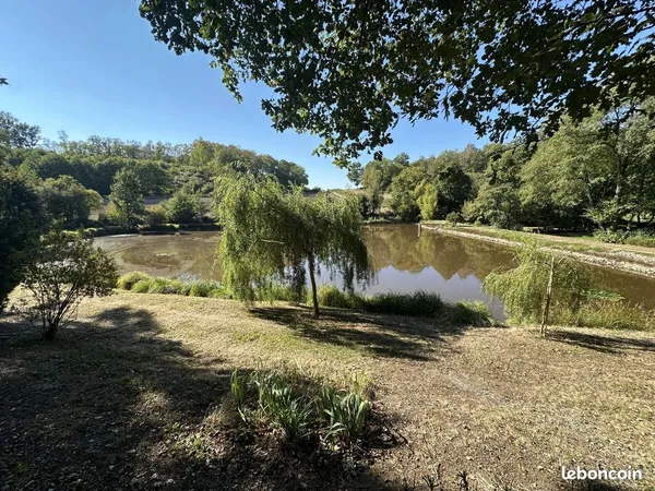 Terrain 11339 m²