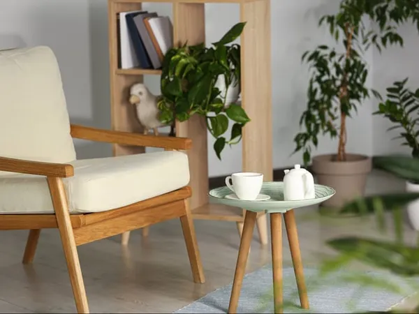 Appartement T2 de 40m² à Pinsaguel