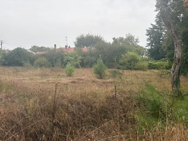 Terrain 541 m²