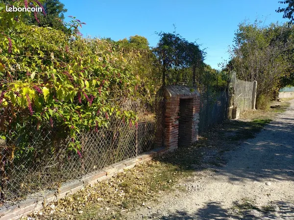 Jardin potager