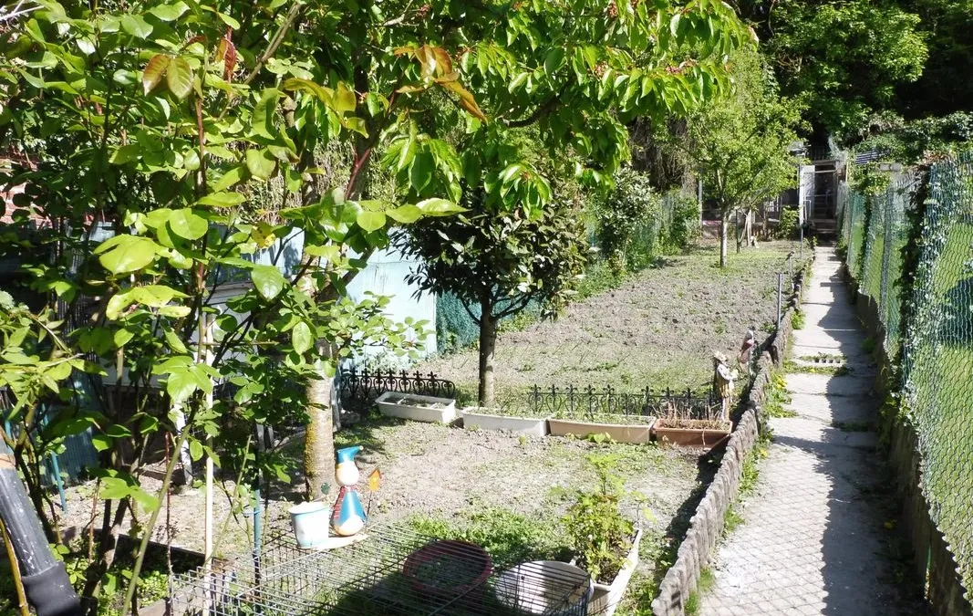 Photo 14