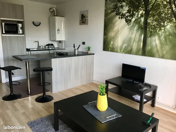 Studio 30 m² rénové, meublé + parking - Vue panoramique - Mont-Saint-Aignan