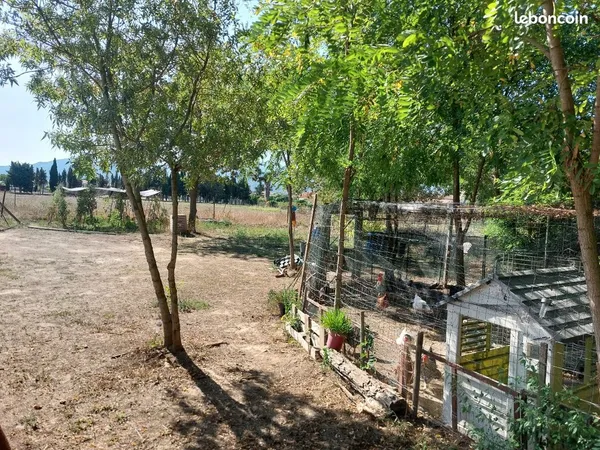 Terrain potager