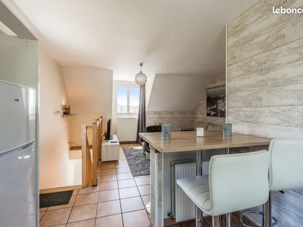 GRAND APPARTEMENT 2 PIECES DUPLEX MEUBLÉ 63 m²