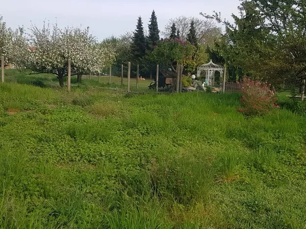 TB terrain FEGERSHEIM 860 m2