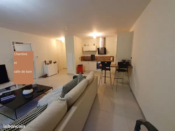 Appartement F2 de standing - basse consommation - garage