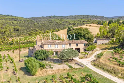 Vignoble 710000 m²