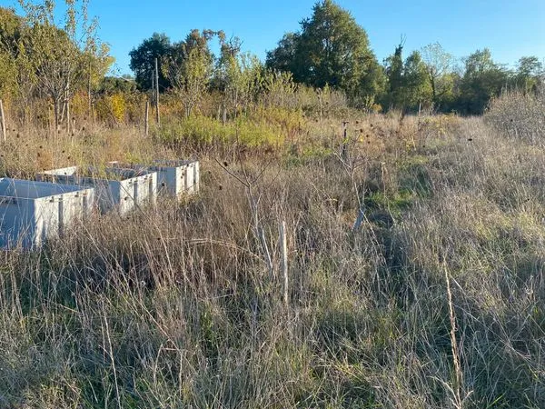 Terrain agricole