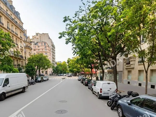 Boutique 19 m²