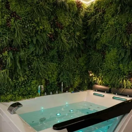 Suite jacuzzi fond de commerce love room
