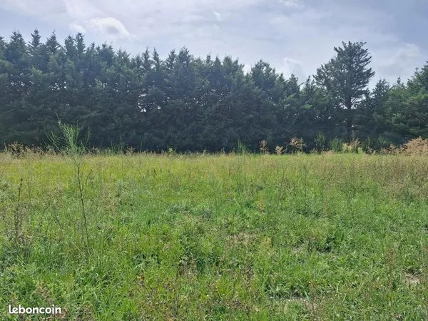 Terrain 1 200 m² Saint Remy De Provence
