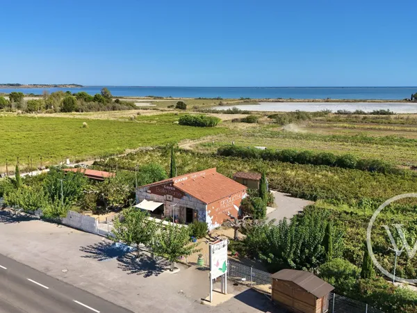 Immobilier Professionnel à vendre Mireval