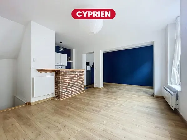 Appartement 3 pièces 50 m²