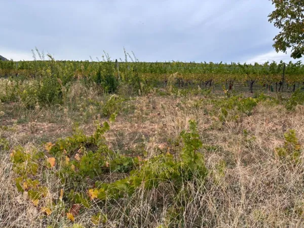 Terrain 631 m²