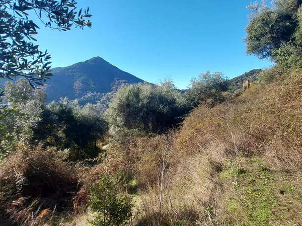 Terrain Vico 5320m2