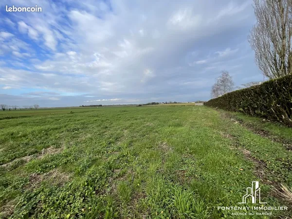 Terrain 1919 m² Longèves