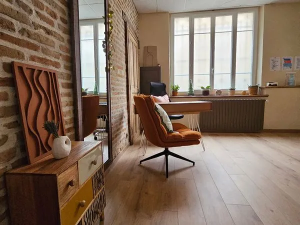 Loue Albi local professionnel