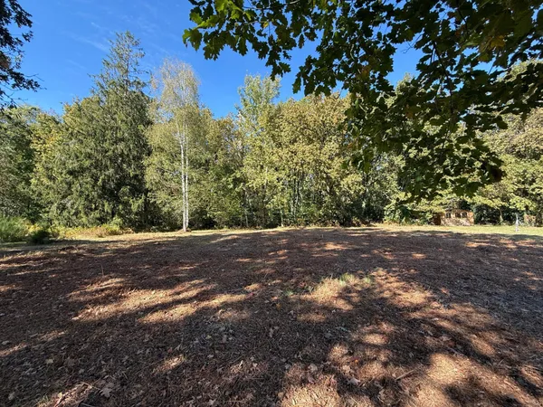 Terrain à bâtir avec bois
