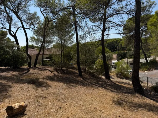 Terrain 535 m²