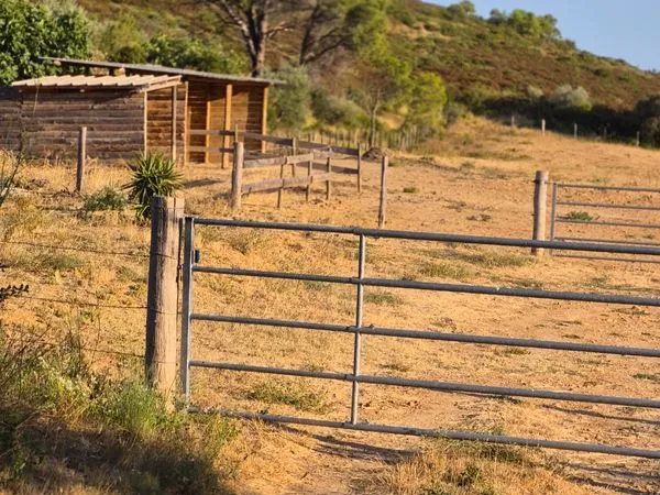 Terrain agricole 9700 m2