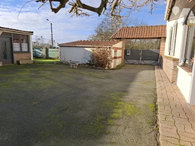 Photo 15