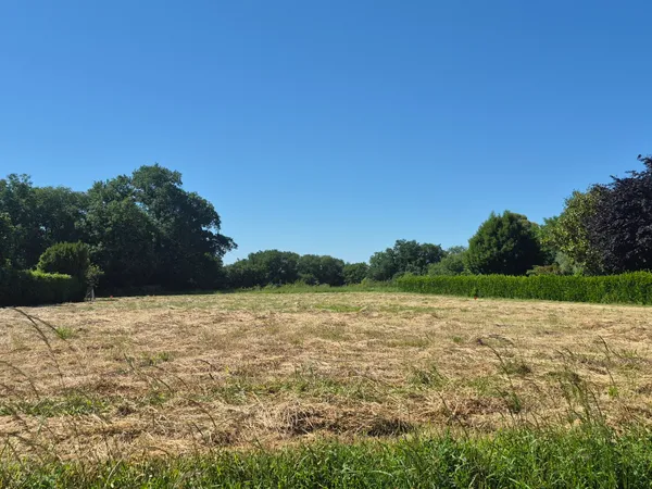 Terrain en individuel 892 m²