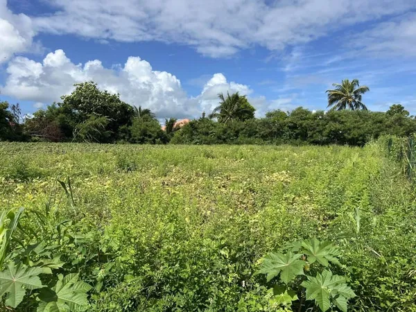 Terrain 946 m²