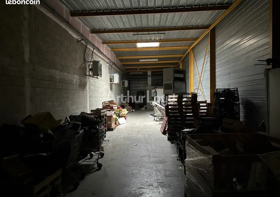Photo 5