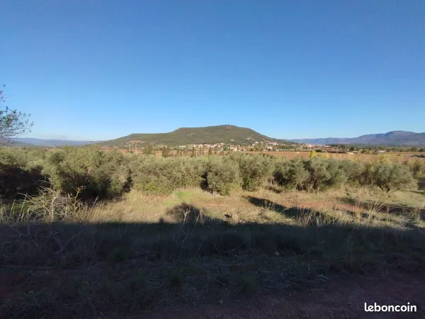Terrain agricole