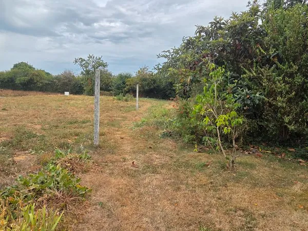 Terrain constructible