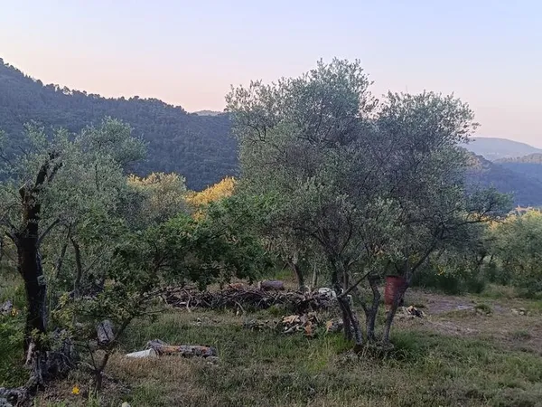Terrain à vendre L'Escarène