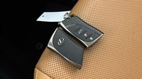 Lexus Nx 450h+ Executive 4WD MY24 — photo 16