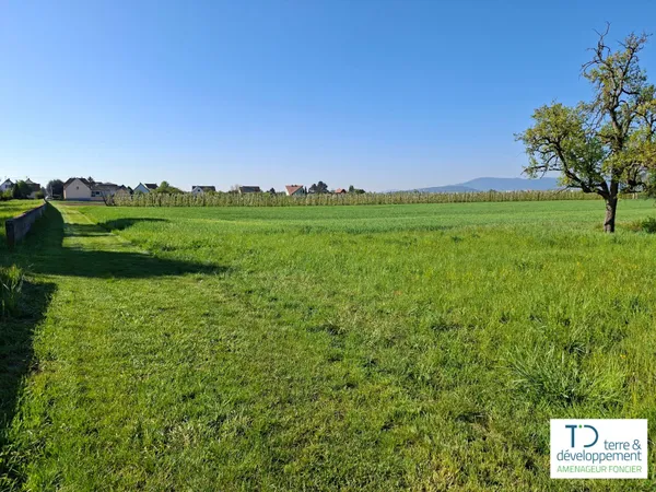 Terrain en individuel 519 m²