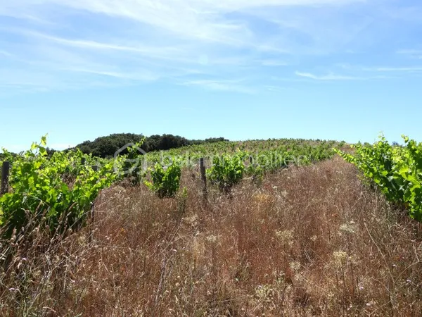 Terrain 54432 m²
