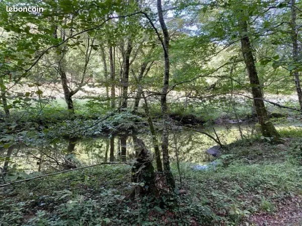 Exceptionnel terrain de 11 hectares avec étang, rivière et terres agricoles