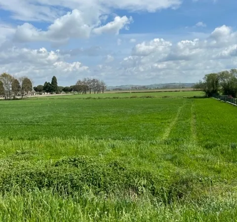 Terrain 2318 m²