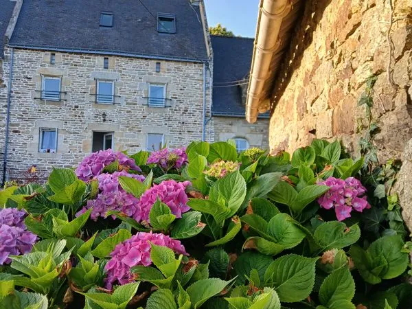 Maison de caractére mitoyenne