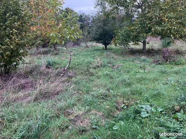 Verger/potager à louer